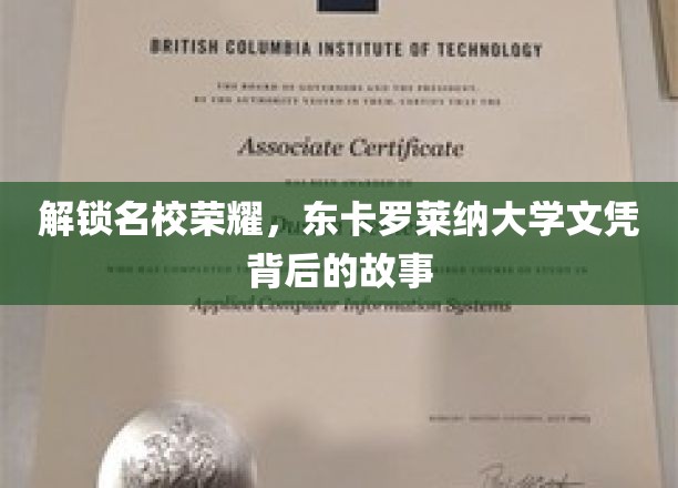 解锁名校荣耀，探寻东卡罗莱纳大学文凭背后的故事