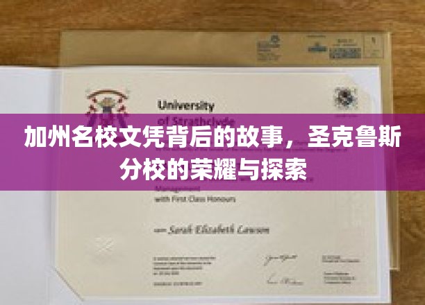 加州名校文凭背后的故事，圣克鲁斯分校的荣耀与探索