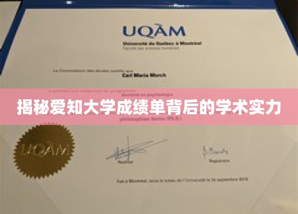 解码爱知大学成绩单，透视隐藏的学术底蕴