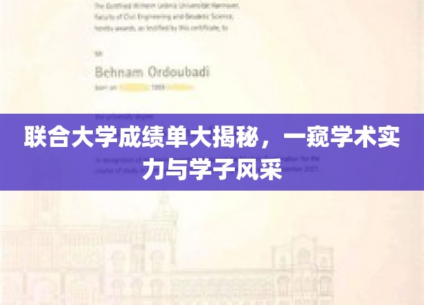 联合大学成绩单大揭秘，一窥学术实力与学子风采