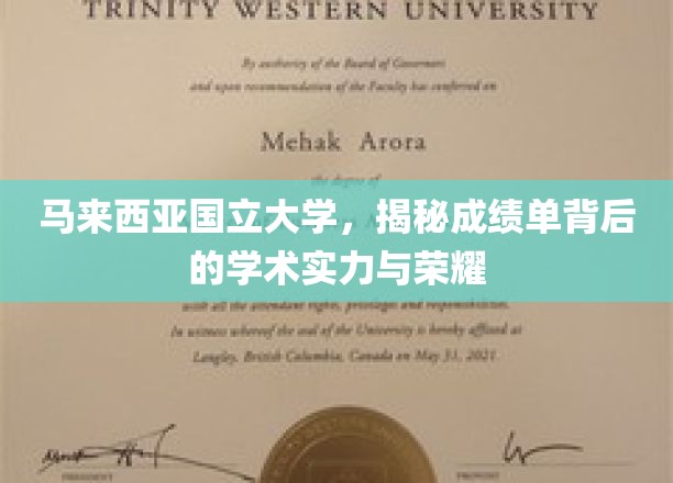 马来西亚国立大学，揭秘成绩单背后的学术实力与荣耀