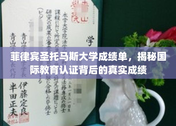 菲律宾圣托马斯大学成绩单，揭秘国际教育认证背后的真实成绩