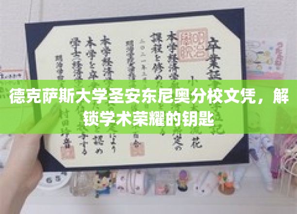 德克萨斯大学圣安东尼奥分校文凭，开启学术荣耀之旅