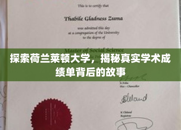 荷兰莱顿大学揭秘，揭秘成绩单背后的学术传奇