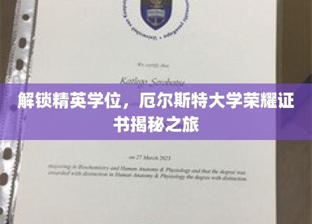 揭秘精英学府，厄尔斯特大学学位荣耀之旅