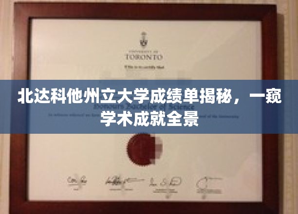 北达科他州立大学成绩单揭秘，一窥学术成就全景