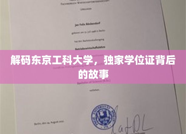 解码东京工科大学，独家学位证背后的故事