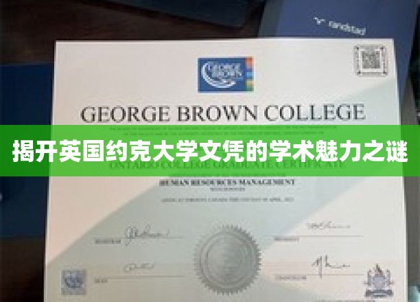 探索约克大学文凭背后的卓越学术底蕴