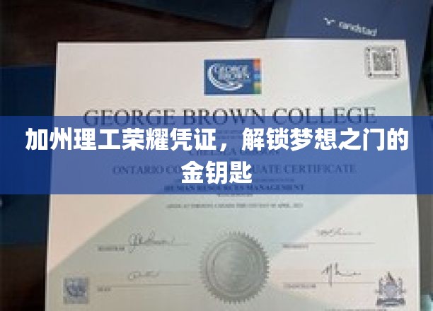 解码加州理工，开启未来精英之路的璀璨钥匙