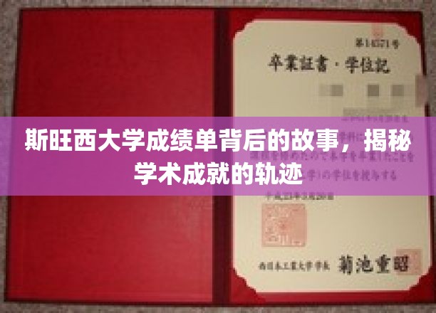 斯旺西大学成绩单背后的故事，揭秘学术成就的轨迹