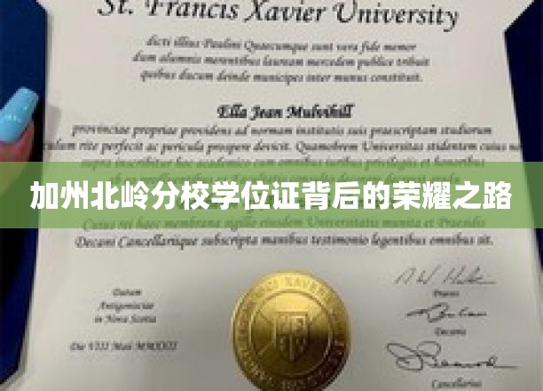 追寻加州北岭分校荣耀，学位证的背后传奇之旅