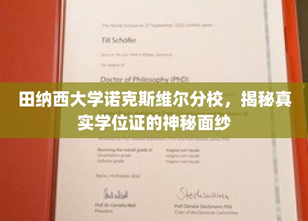揭开田纳西大学诺克斯维尔分校学位证书的神秘面纱，一场探索之旅