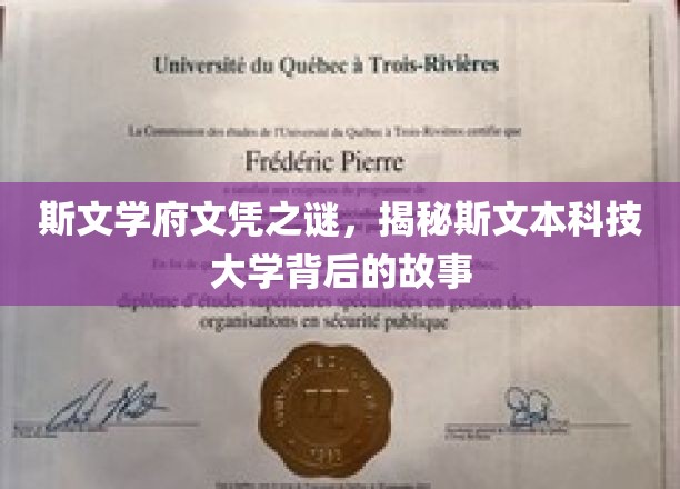 斯文深藏，斯文本科技大学文凭背后的传奇历程