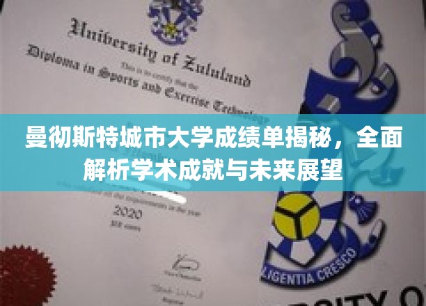 解码曼大荣耀，揭秘城市大学成绩单背后的学术实力与未来蓝图