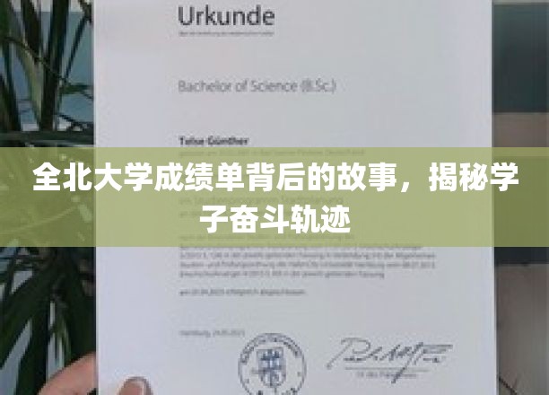 成绩单背后的青春足迹，全北大学学子的奋斗传奇