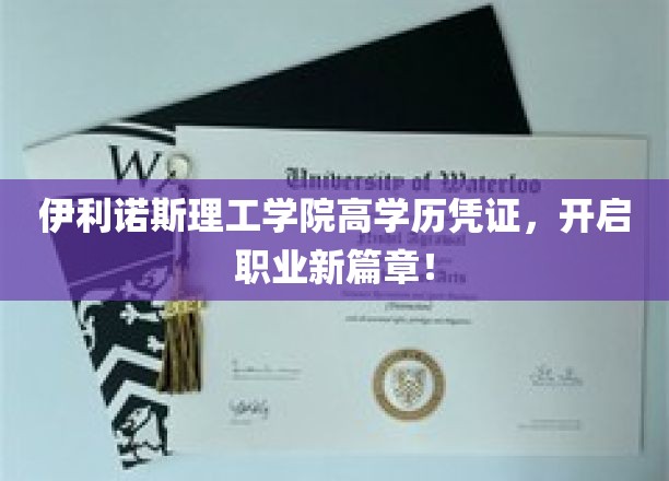 高学历加持，伊利诺斯理工学院毕业生迈入职场新境界！