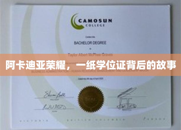 阿卡迪亚荣耀，一纸学位证背后的故事