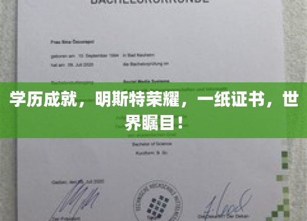 明斯特荣耀，学历巅峰，一纸证书引领世界目光