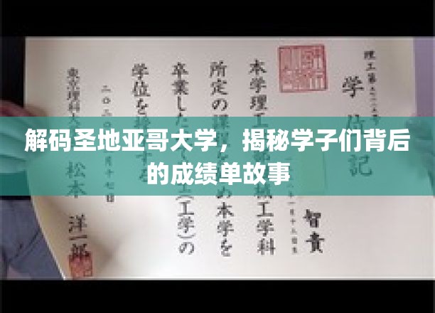 探寻圣地亚哥大学学霸秘籍，背后的成绩单传奇