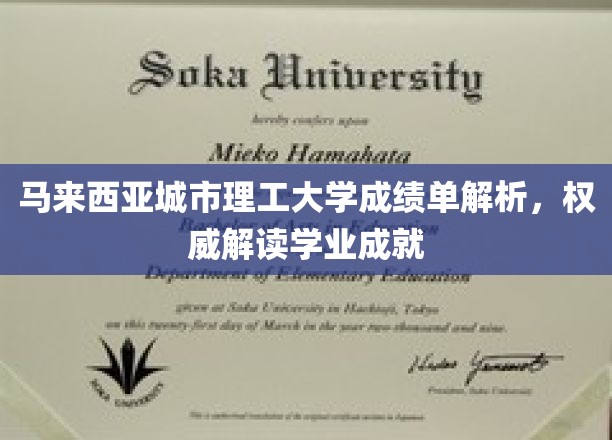马来西亚城市理工大学成绩单解析，权威解读学业成就