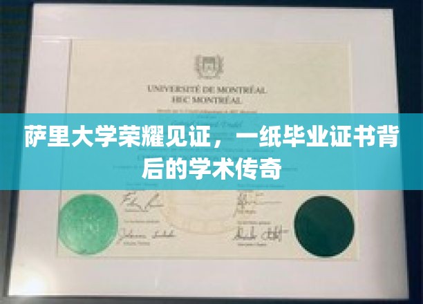 萨里大学荣耀见证，一纸毕业证书背后的学术传奇