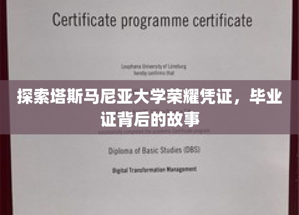 解锁塔斯马尼亚大学毕业证，揭秘荣耀凭证背后的传奇故事