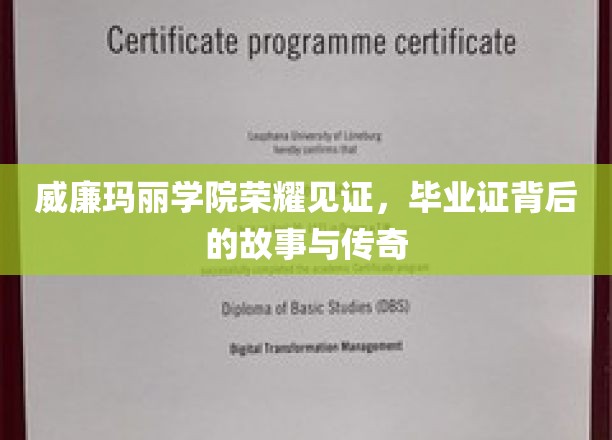 威廉玛丽传奇，毕业证书背后的学院荣耀与感人篇章