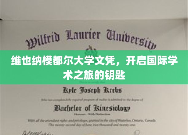 解锁国际学术殿堂，维也纳模都尔大学文凭，开启全球学术之门