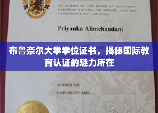 国际认证教育之光，布鲁奈尔大学学位背后的全球认可奥秘