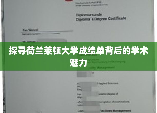 揭开莱顿大学成绩单，探寻荷兰高等教育的奥秘