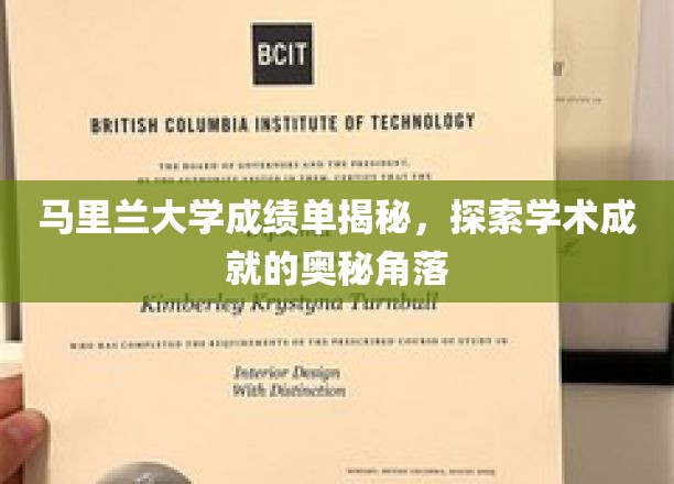 马里兰大学成绩单背后，揭秘学术辉煌的隐秘世界