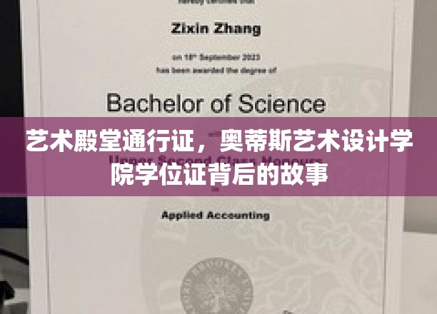 探索奥蒂斯艺术设计学院，学位证的荣耀之路