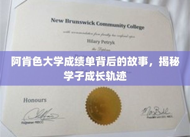 解锁阿肯色大学成绩单，一窥学子成长历程的密码