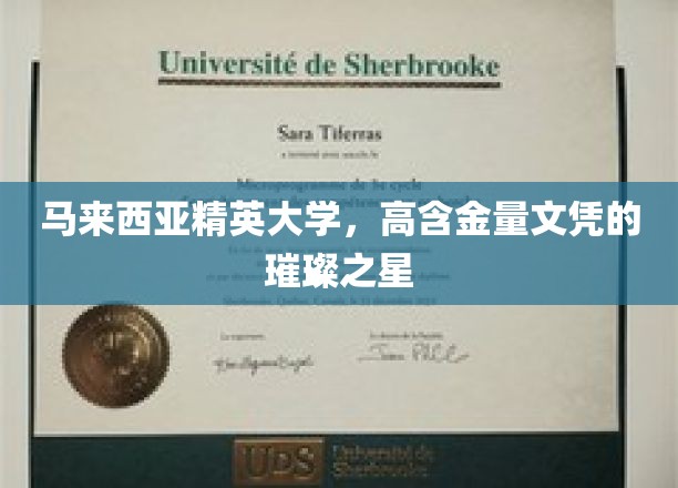 马来西亚精英大学，高含金量文凭的璀璨之星