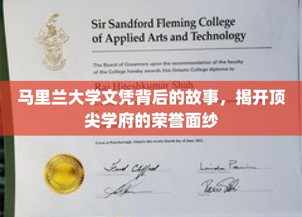 探寻马里兰大学荣耀背后的真实故事