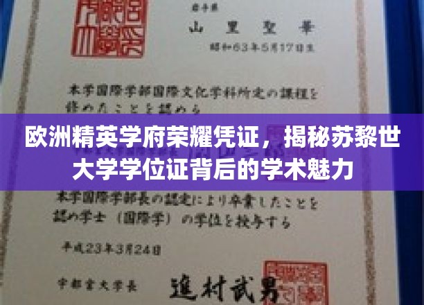欧洲精英学府荣耀凭证，揭秘苏黎世大学学位证背后的学术魅力