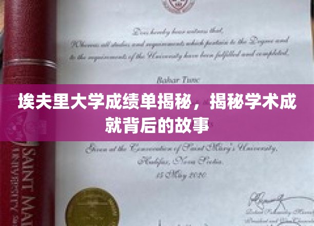 埃夫里大学成绩单背后的学术传奇揭秘，揭秘学霸背后的故事