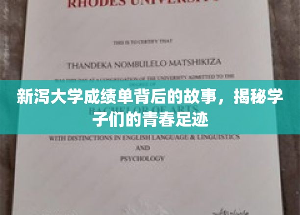 新泻大学成绩单背后的故事，探寻学子们的青春足迹