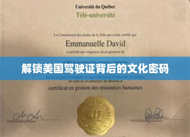 美国驾照背后的文化之旅