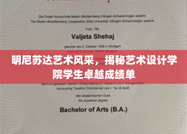 明尼苏达艺术设计学院，学子风采绽放，创作实力惊艳全场
