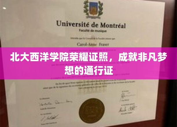 北大西洋学院荣耀徽章，开启非凡职业生涯的璀璨钥匙