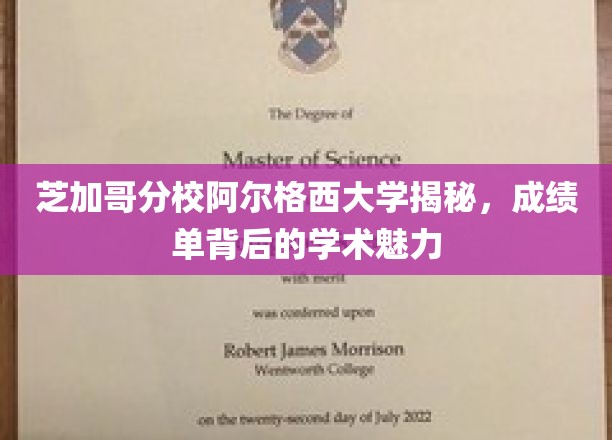 芝加哥分校阿尔格西大学，揭开成绩单背后的学术风采面纱