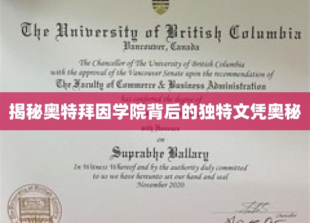 奥特拜因学院，揭秘全球瞩目的神秘文凭之谜