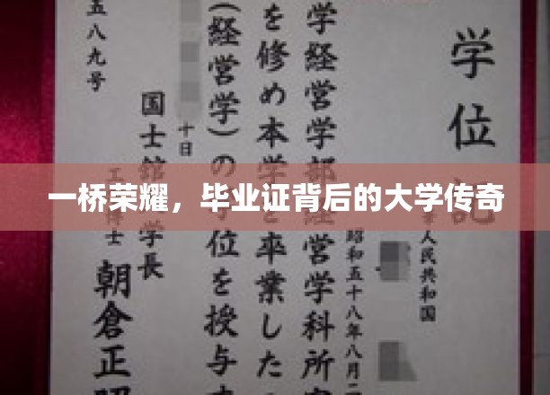 桥上荣耀，毕业证书背后的学府传奇篇章