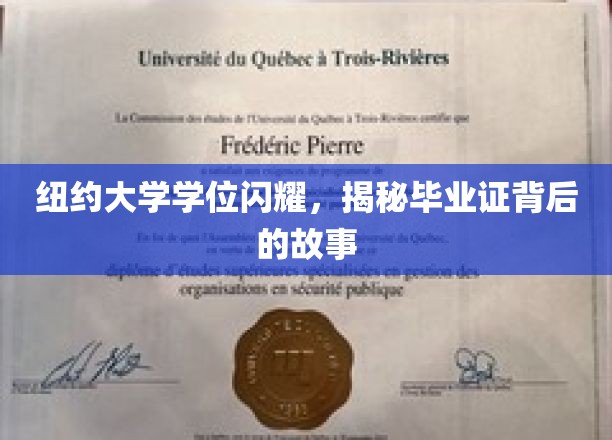 纽约大学荣耀时刻，揭秘毕业证书背后的非凡历程