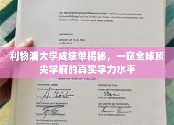 利物浦大学成绩单揭秘，一窥全球顶尖学府的真实学力水平