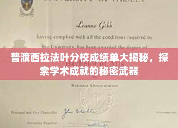 揭秘普渡西拉法叶分校高分背后的学术秘籍