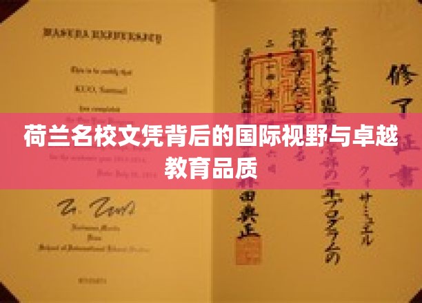 欧洲教育瑰宝，荷兰名校文凭展现国际视野与卓越育才之道