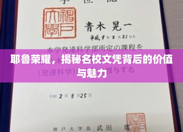耶鲁传奇，探寻顶尖学府文凭的无尽魅力与深远价值