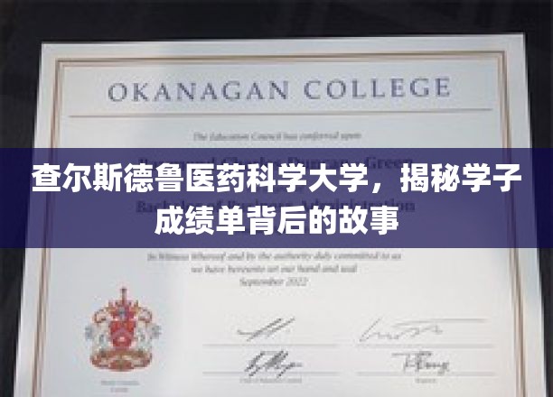 揭开查尔斯德鲁医药科学大学学子成绩单背后的成长足迹